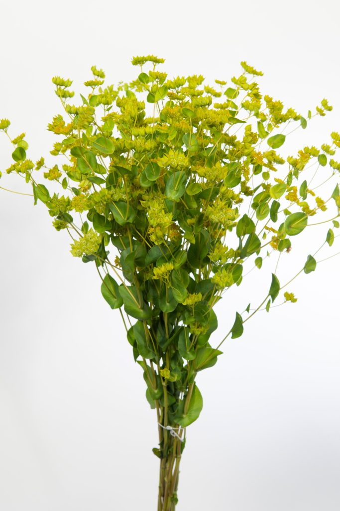 3 x Green Fern Spray Stem Picks Foliage Florist Decorations 65 cm length 