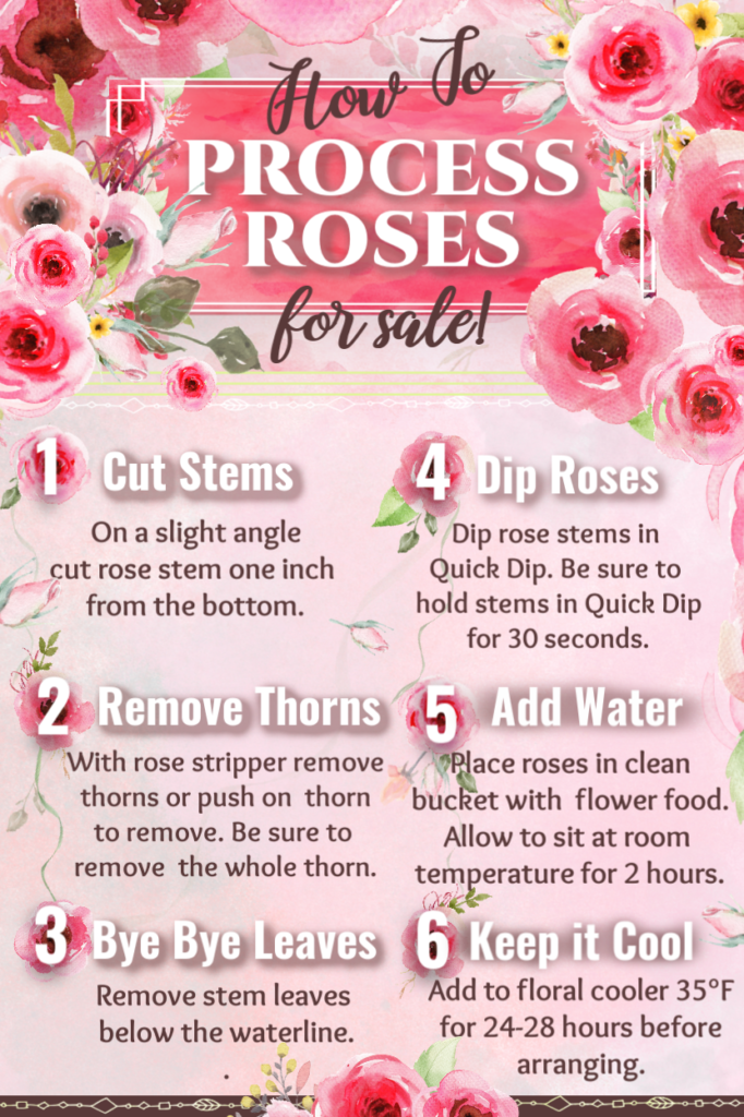 How to process roses for sale