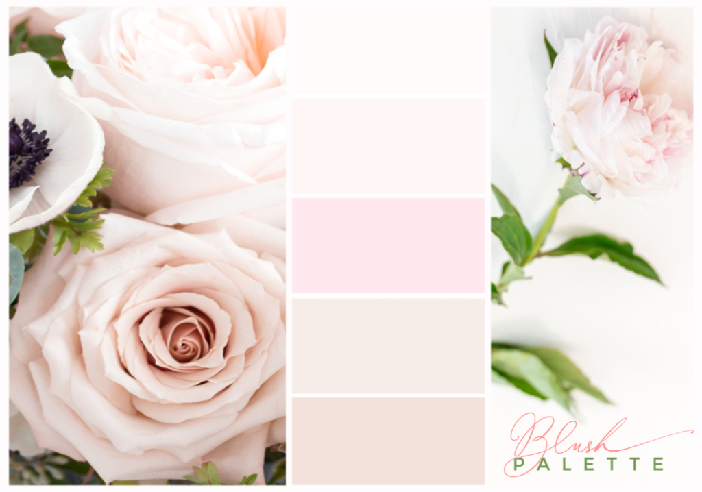 blush flower Palette 