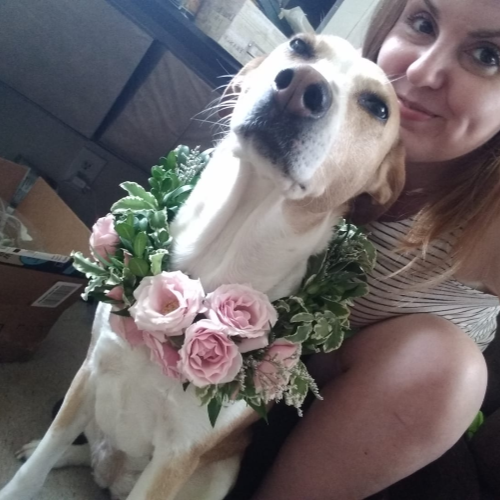 Florists with their doggies selfies