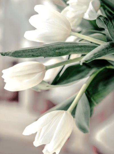 Florist Guide To Sympathy Flower Styles