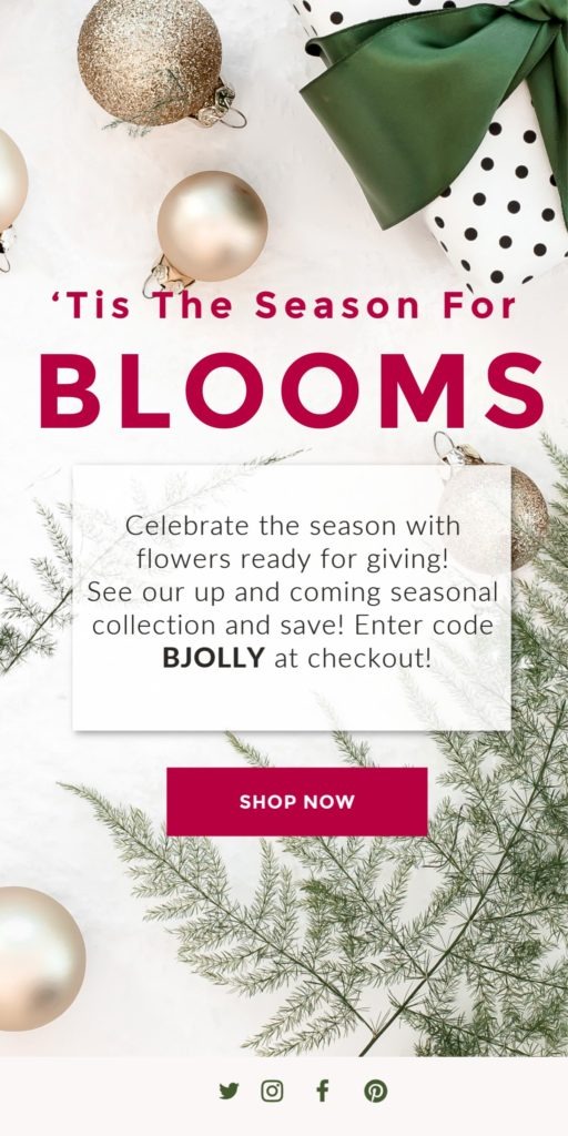 Christmas Florist Flower Email Marketing Sample