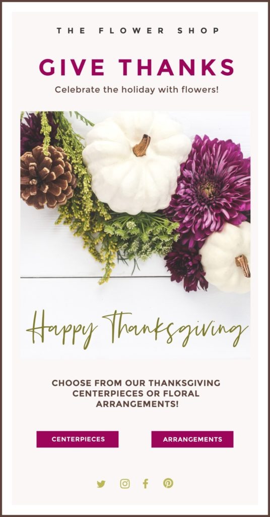 Florist Thanksgiving Email Marketing Sample