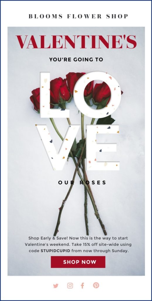 Florist Valentines Day Email Newsletter Sample